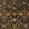A comprehensive top-down perspective of a premium Indian rug. The design features a saturated black field densely populated with symmetrical floral palmettes and scrolling vines in gold and tan, beautifully framed by a wide, luminous terracotta ornate border.