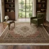Elegant living room with a green velvet armchair and dark wood bookshelves, featuring a 7x7 square terracotta and ivory Indian rug.
