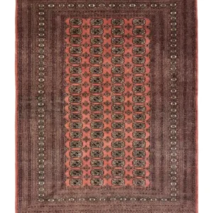 Full overhead view of a rectangular 6' 3" x 8' 1" hand-knotted Pakistan Bokhara wool rug featuring repeating black and ivory gul motifs on a salmon-coral field.