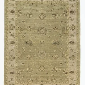 Full overhead view of a rectangular 6' x 9' hand-knotted India Chobi wool rug featuring a muted sage green field and an ivory-tan botanical border.
