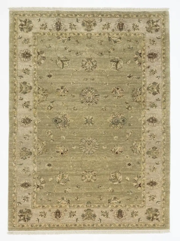 Full overhead view of a rectangular 6' x 9' hand-knotted India Chobi wool rug featuring a muted sage green field and an ivory-tan botanical border.