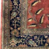 Detailed corner view of an Indian Sarough design wool rug showing the dark navy border, sage guard bands, and white fringe.