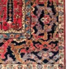 Detailed corner view of an Afghan Bakhtiar wool rug showing the midnight navy floral border, teal guard stripe, and neat white fringe.
